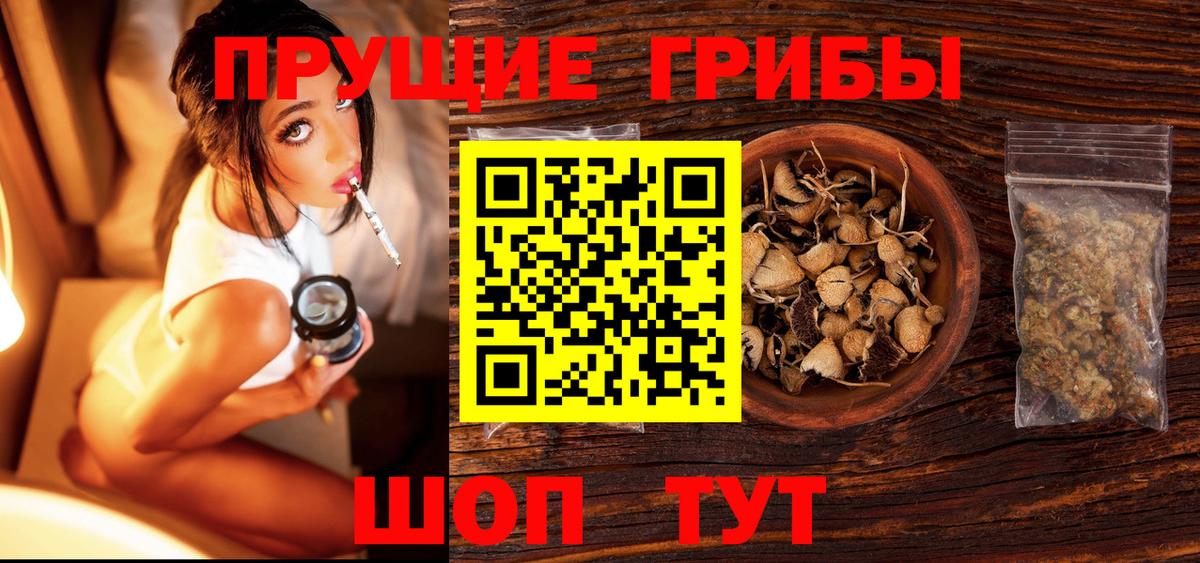 Галлюциногенные грибы мицелий Моздок